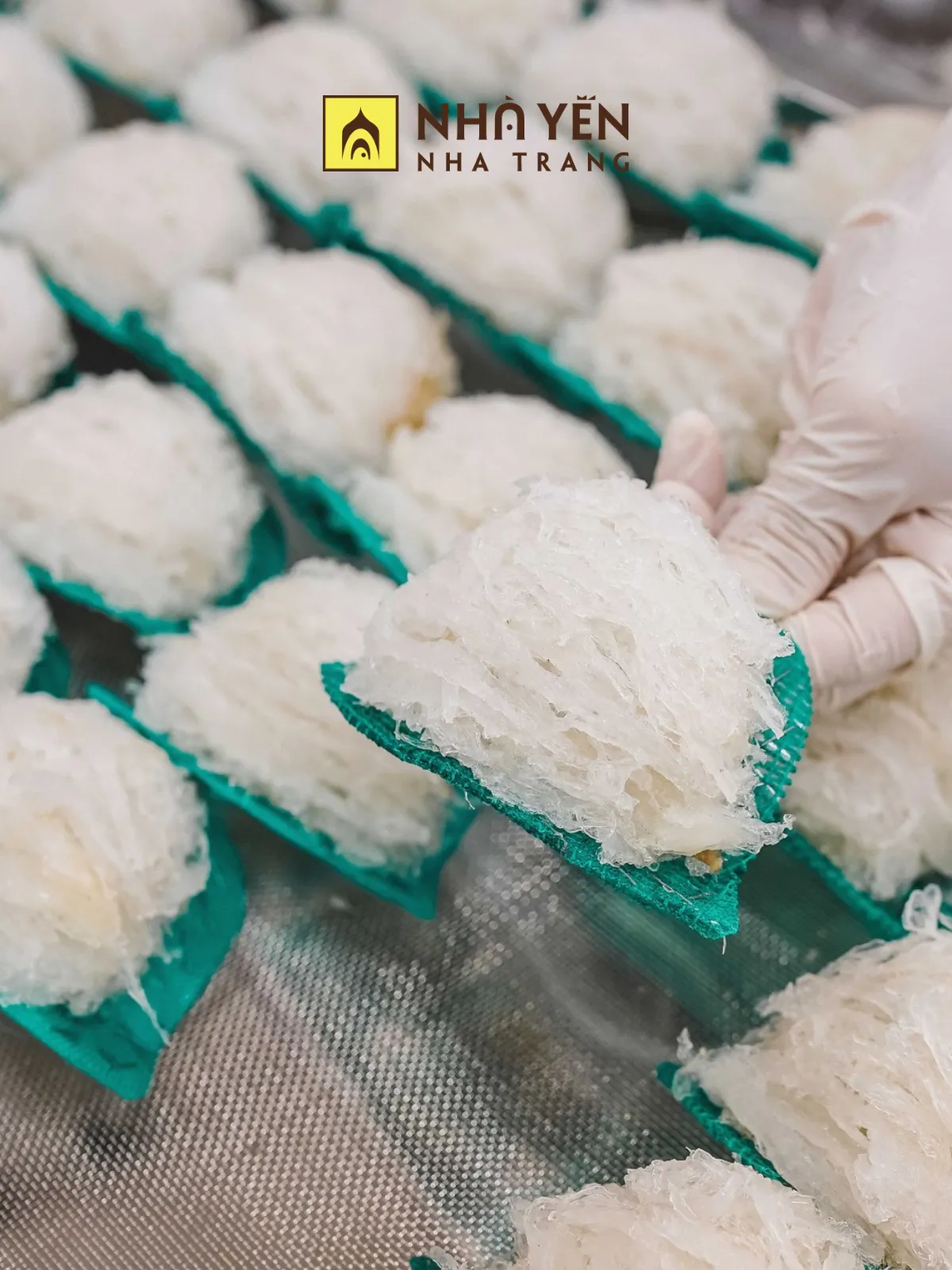 Yến sào chứa hàm lượng dinh dưỡng cực cao giúp hồi phục thể trạng