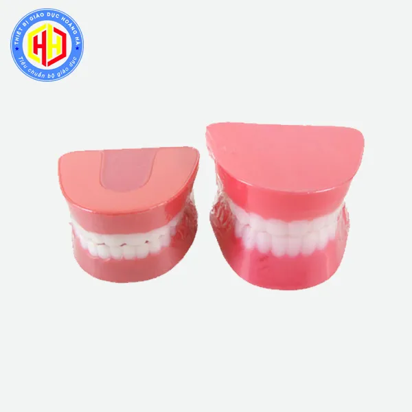 Giáo dục thói quen vệ sinh răng miệng thông qua các hoạt động trực quan sinh động