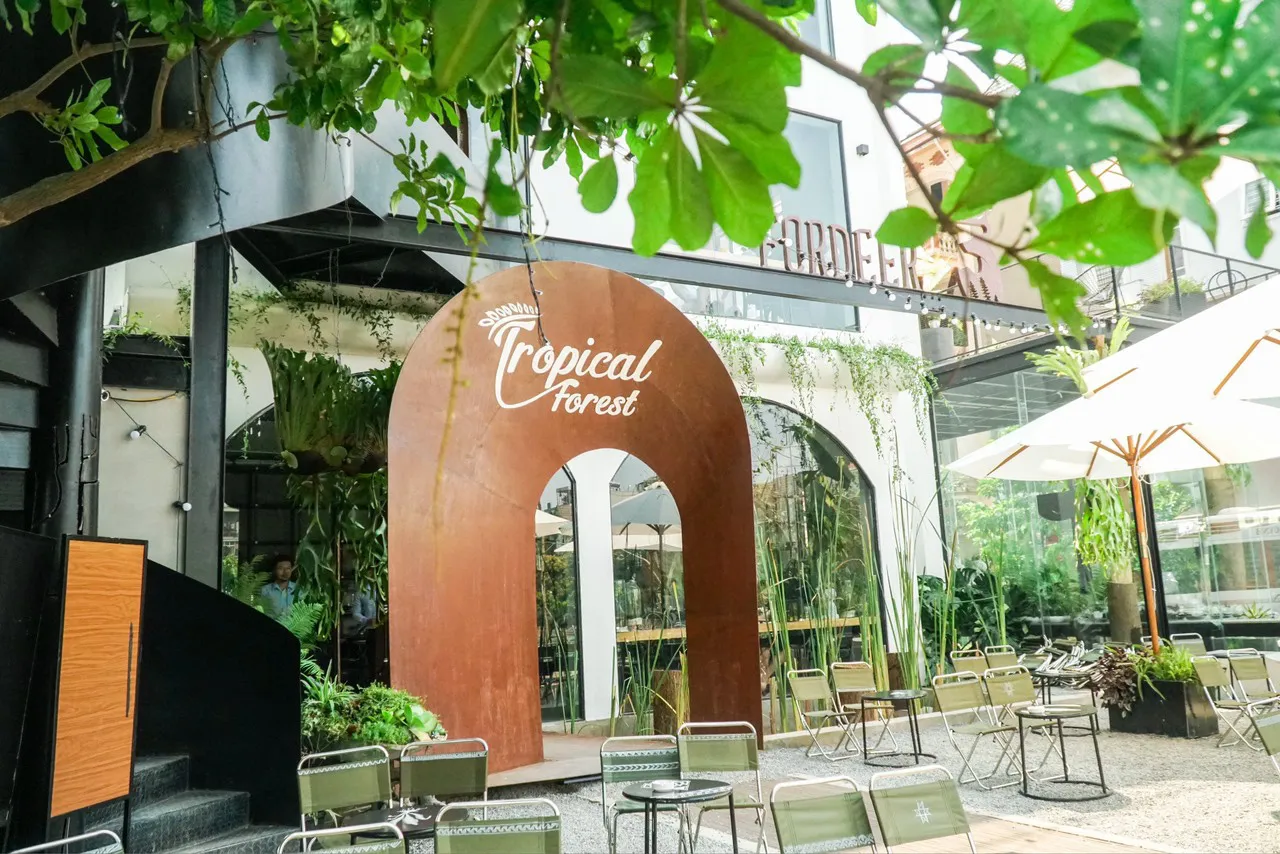 Tropical Forest: Cafe Rừng Nhiệt Đới – Không gian xanh giữa lòng thành phố Tropical Forest: Cafe Rừng Nhiệt Đới – Không gian xanh giữa lòng thành phố