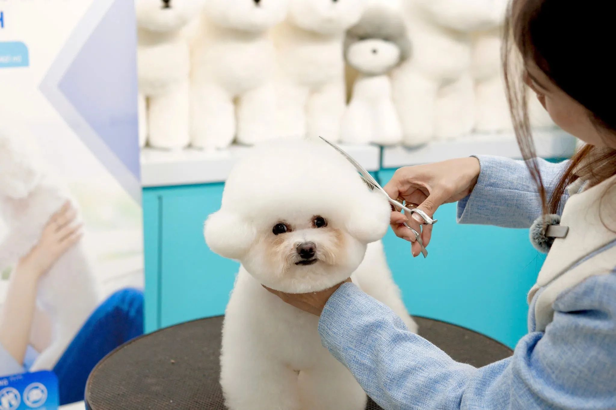 Đội ngũ kỹ thuật viên lành nghề với đôi bàn tay khéo léo mang lại diện mạo mới cho thú cưng
