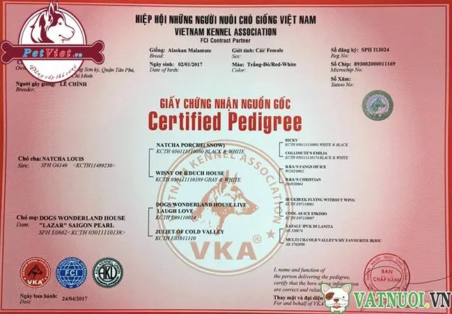 Hồ sơ sức khỏe minh bạch là minh chứng cho chất lượng của cửa hàng
